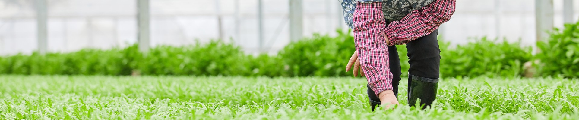 技術(shù)指導(dǎo)